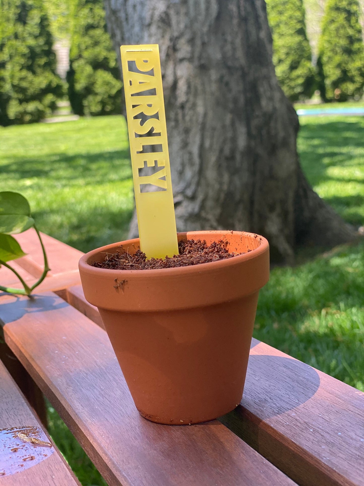 Garden Markers