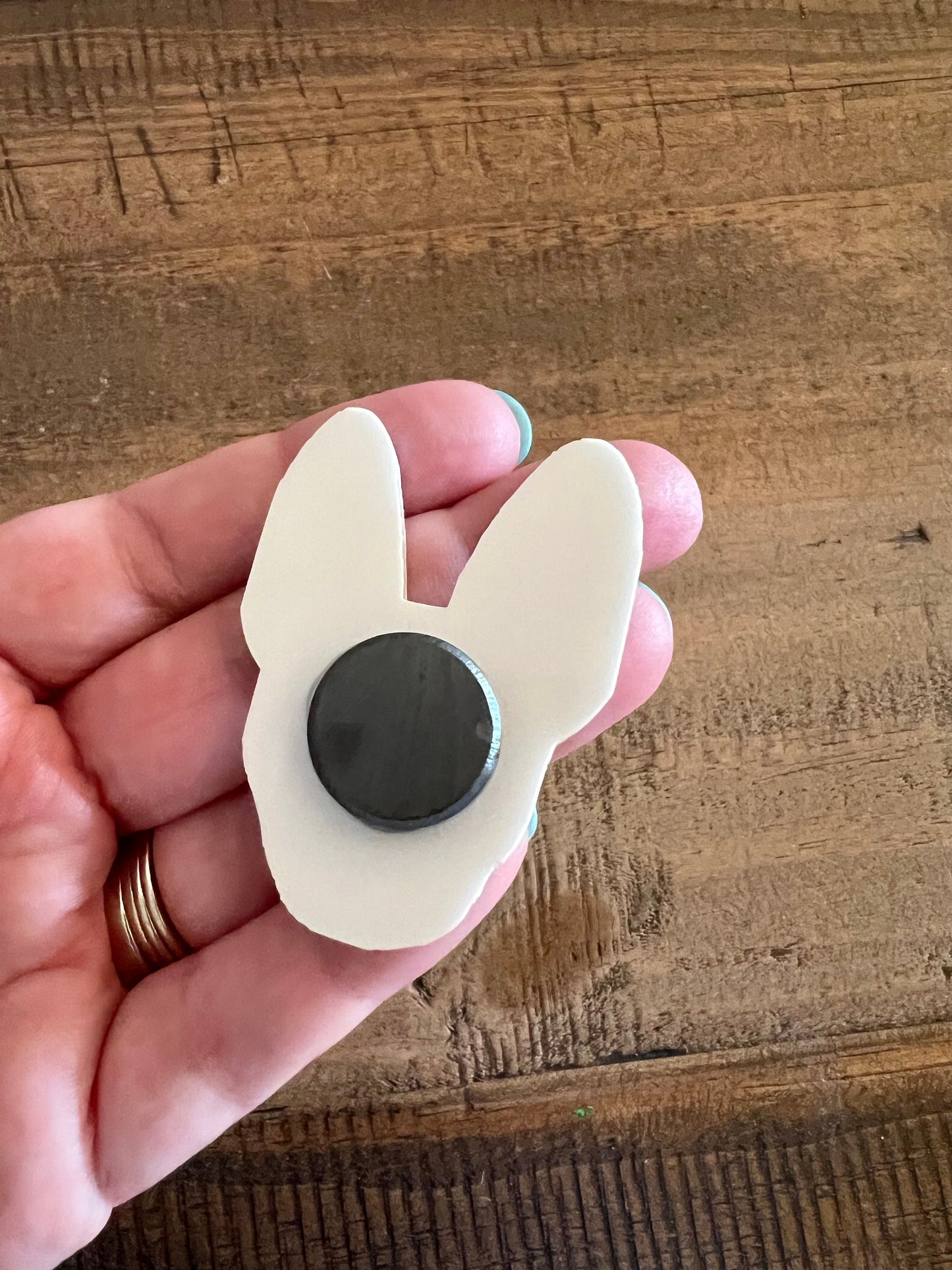Custom Pet Magnet