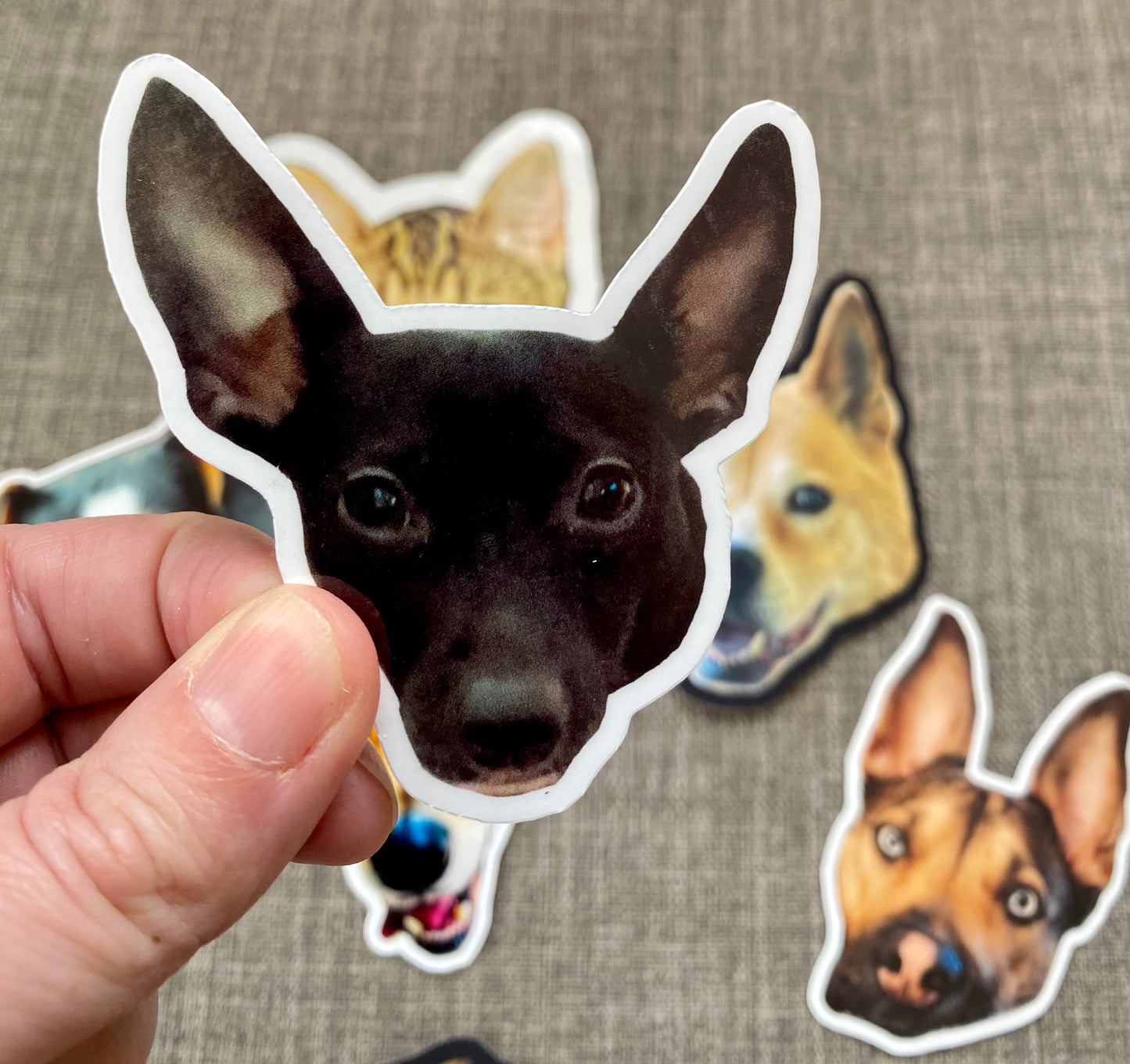 Custom Pet Stickers