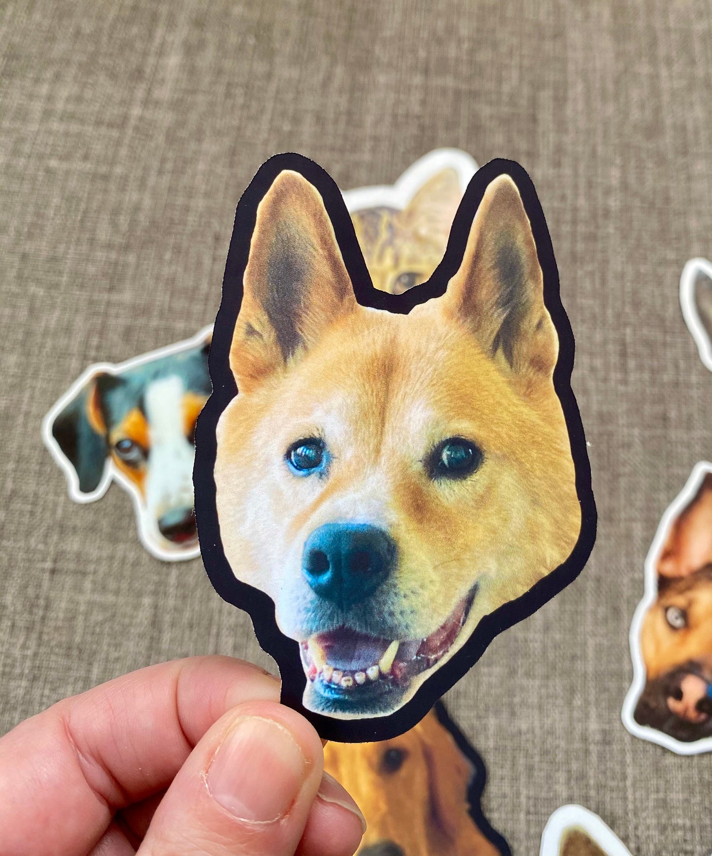 Custom Pet Stickers