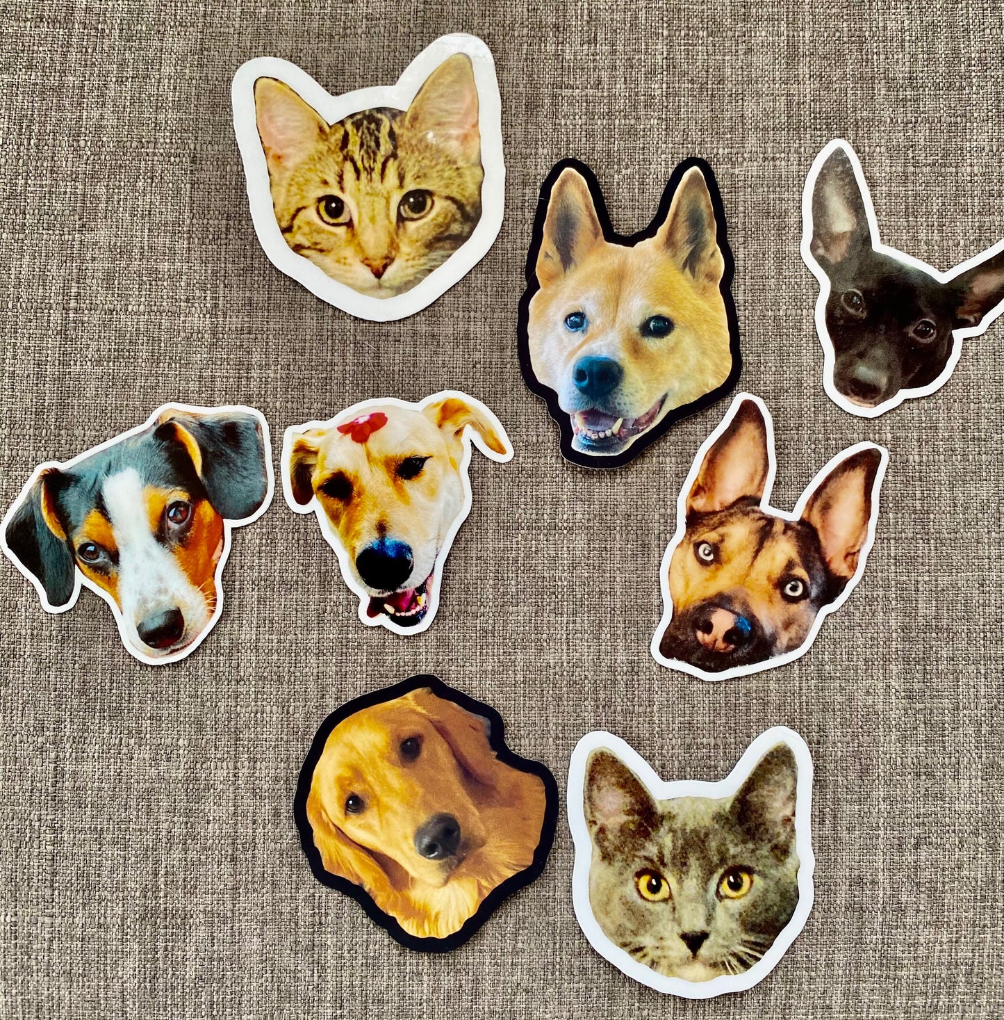 Custom Pet Stickers