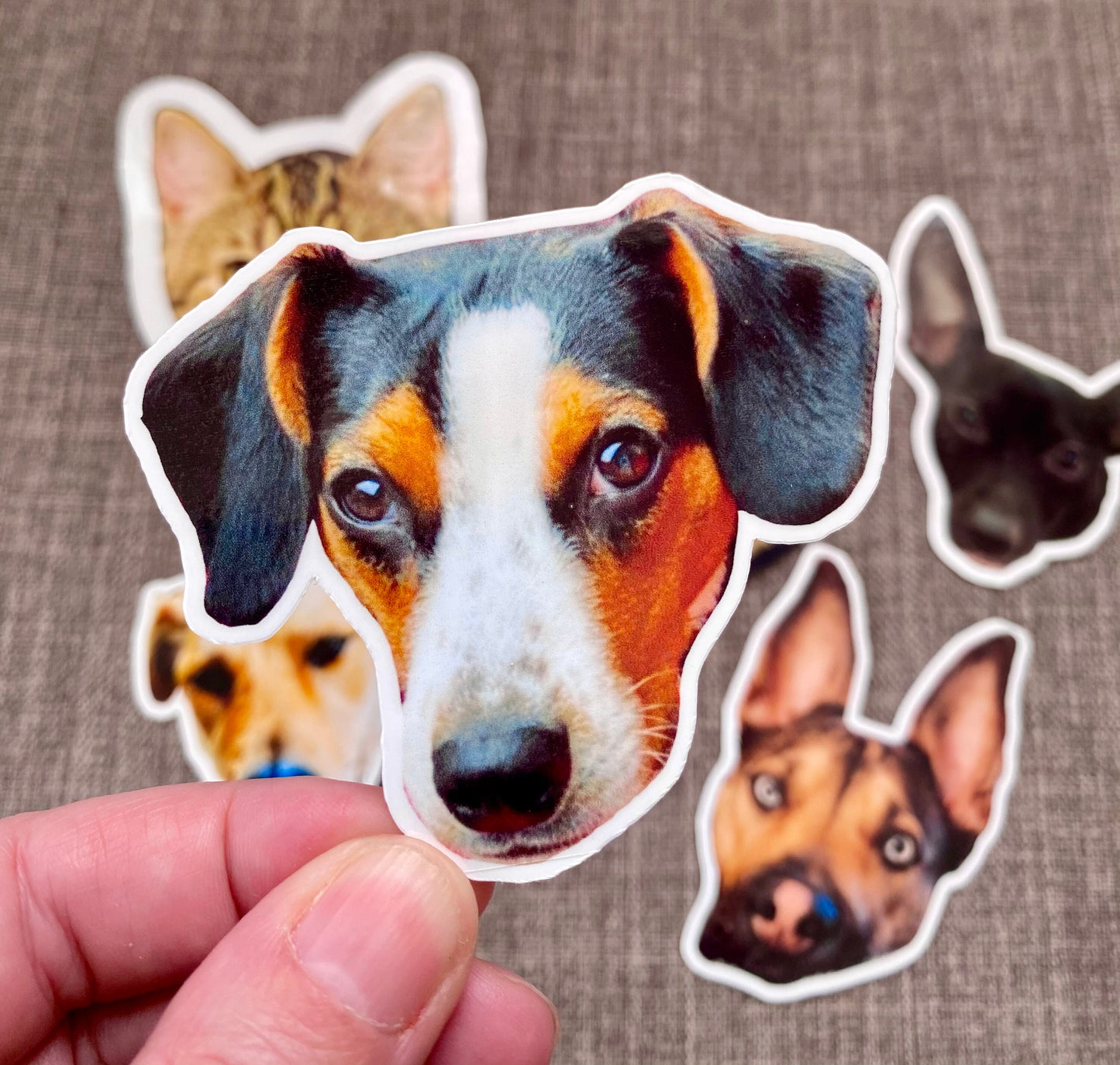 Custom Pet Stickers