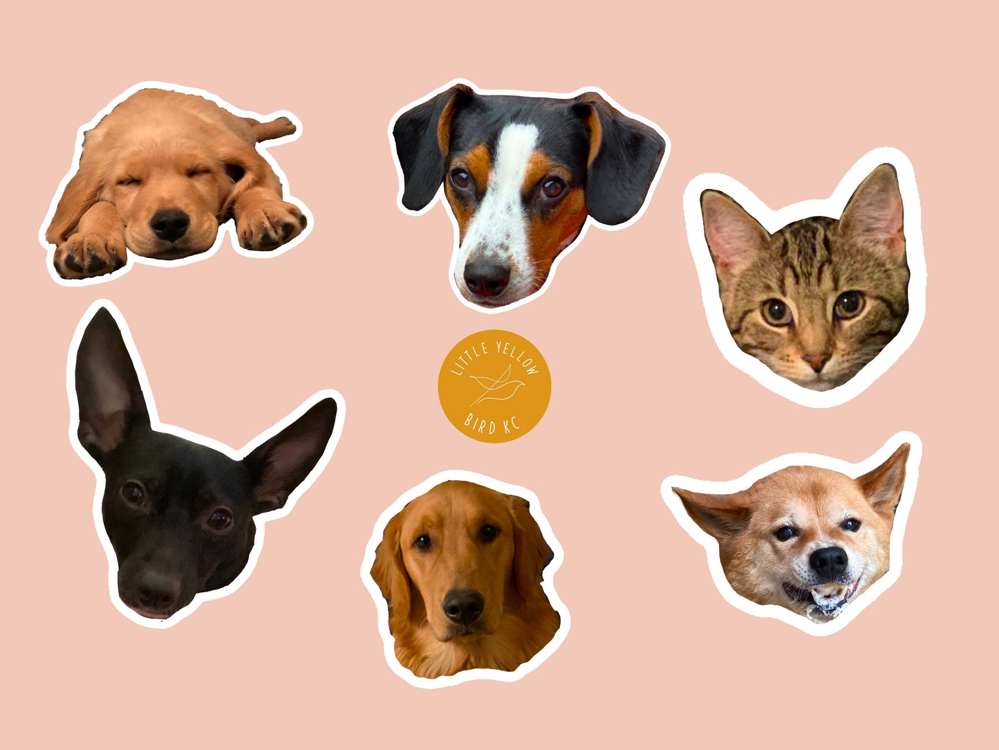 Custom Pet Stickers