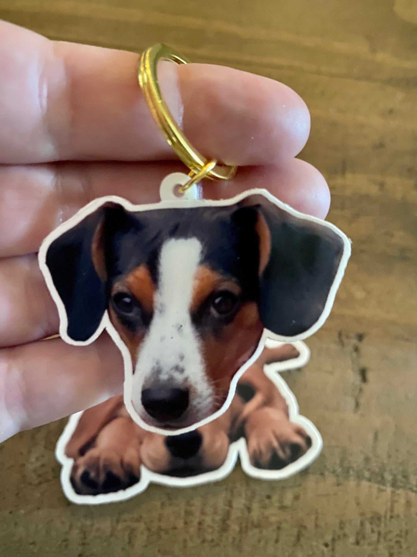 Custom Pet Keychain