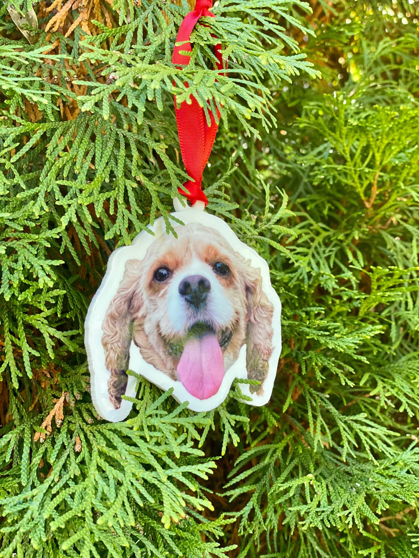 Custom Pet Ornament