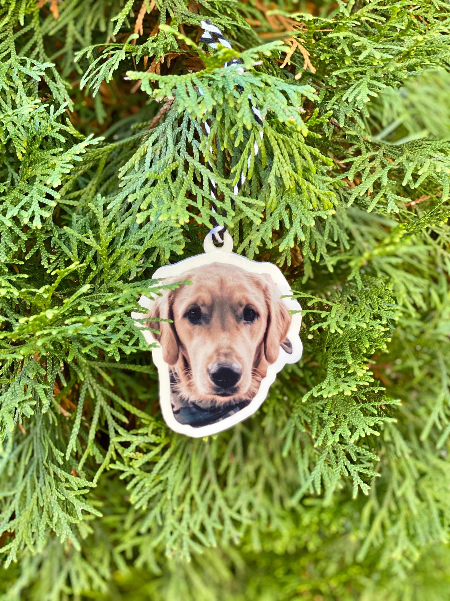 Custom Pet Ornament