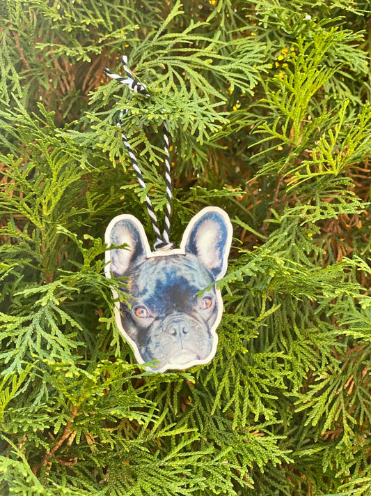 Custom Pet Ornament