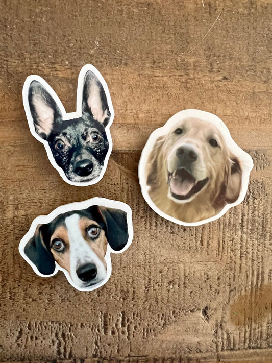 Custom Pet Magnet