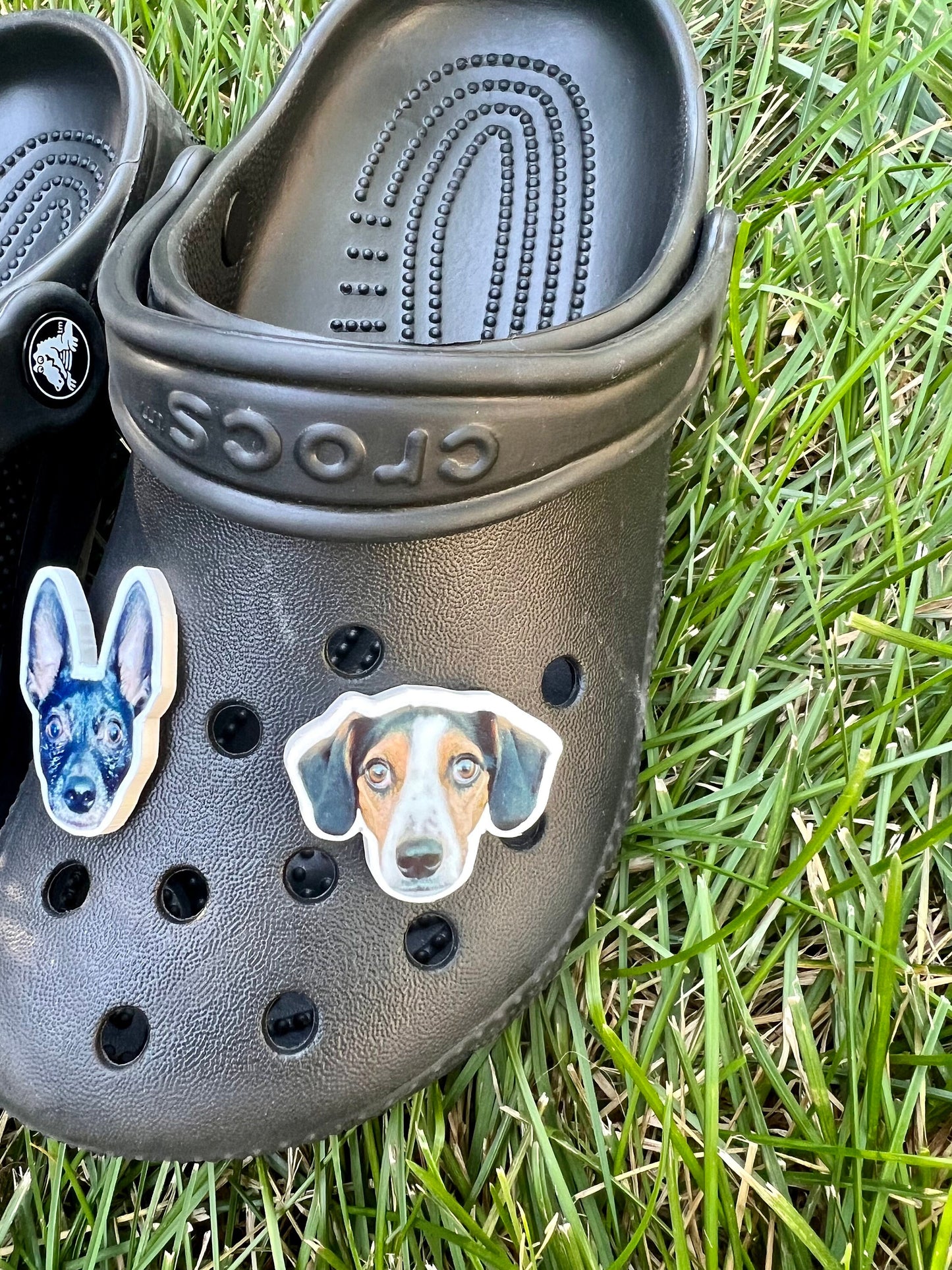 Custom Pet Croc Charms